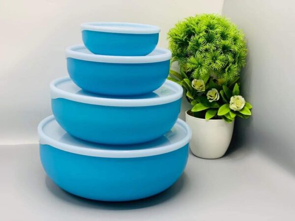 4pc container set round